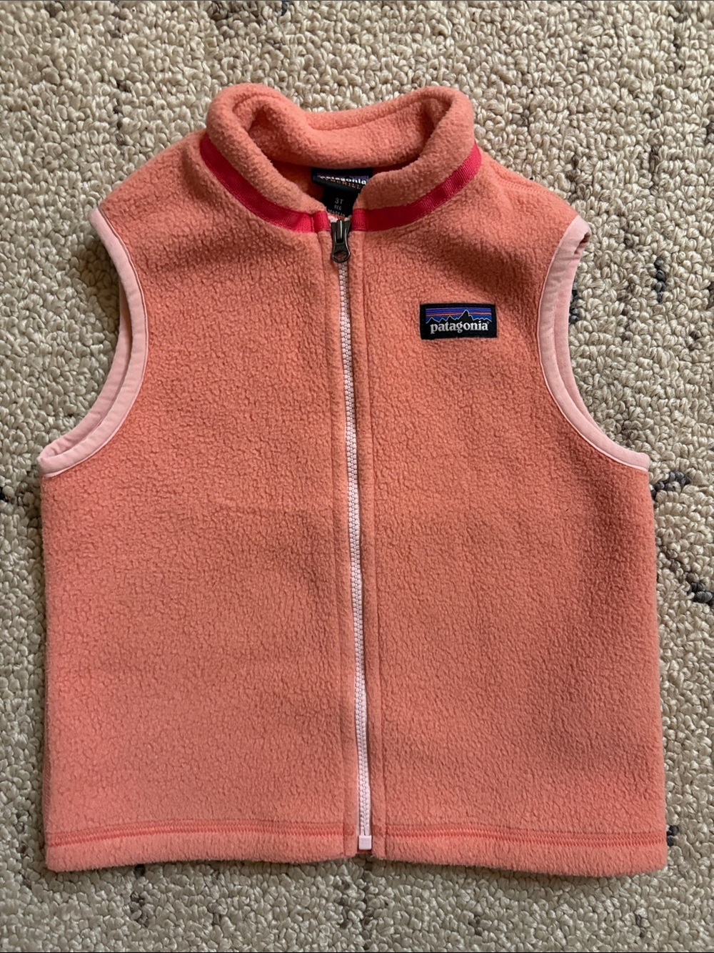 Patagonia Kids fleece vest (3T) EUC